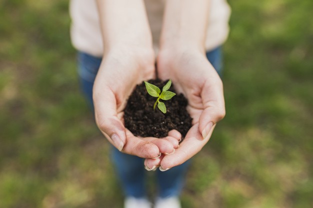 Programa Juntos pelo Agro em parceria com AgroBr e APEX Brasil aproxima pequenos negócios gaúchos de compradores internacionais durante a Expointer 2026