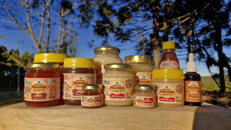 Apicultora da Serra Gaúcha conquista certificações, prêmio nacional e fortalece protagonismo feminino no agro