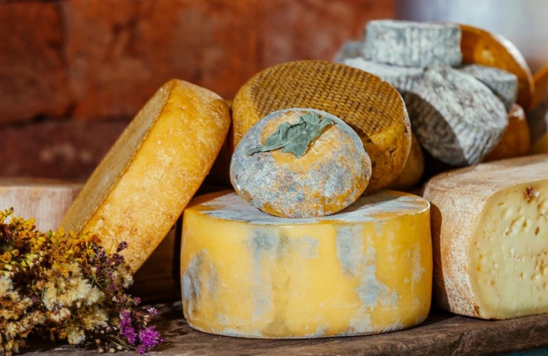 Concurso de Queijos e Doces de Leite Artesanais do RS destaca qualidade e identidade da produção gaúcha