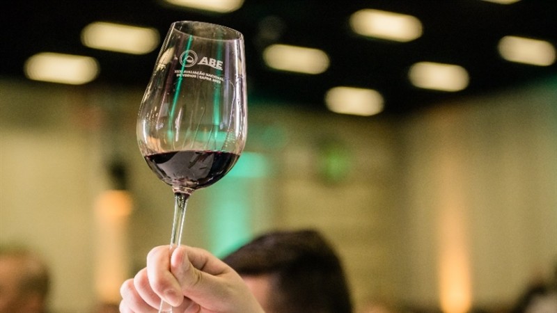 Sebrae RS fortalece presença do vinho gaúcho na Wine South America 2026