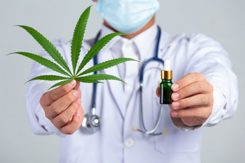 Anvisa autoriza exportação de produtos à base de Cannabis. E agora?