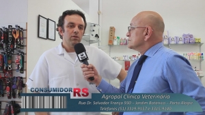 Coceira em Cães - As principais causas